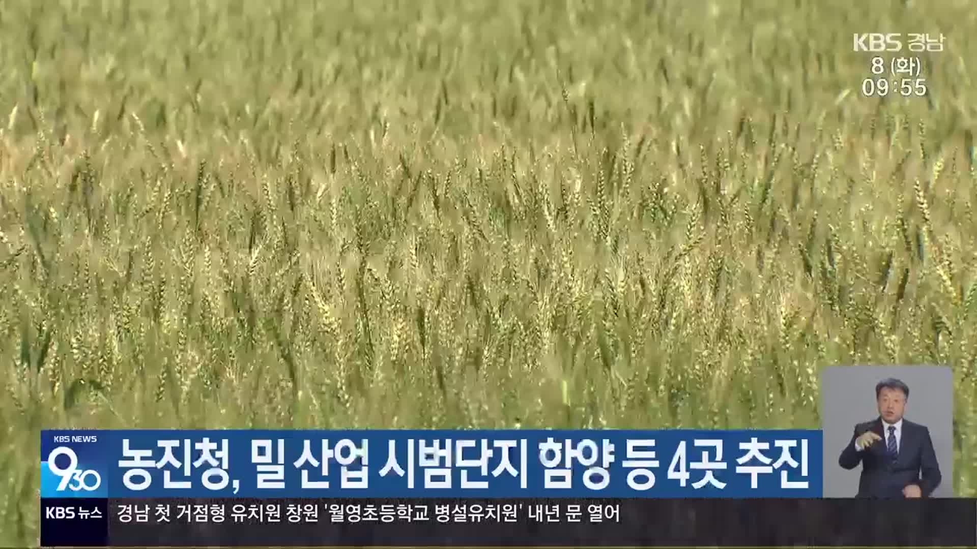 농진청, 밀 산업 시범단지 함양 등 4곳 추진