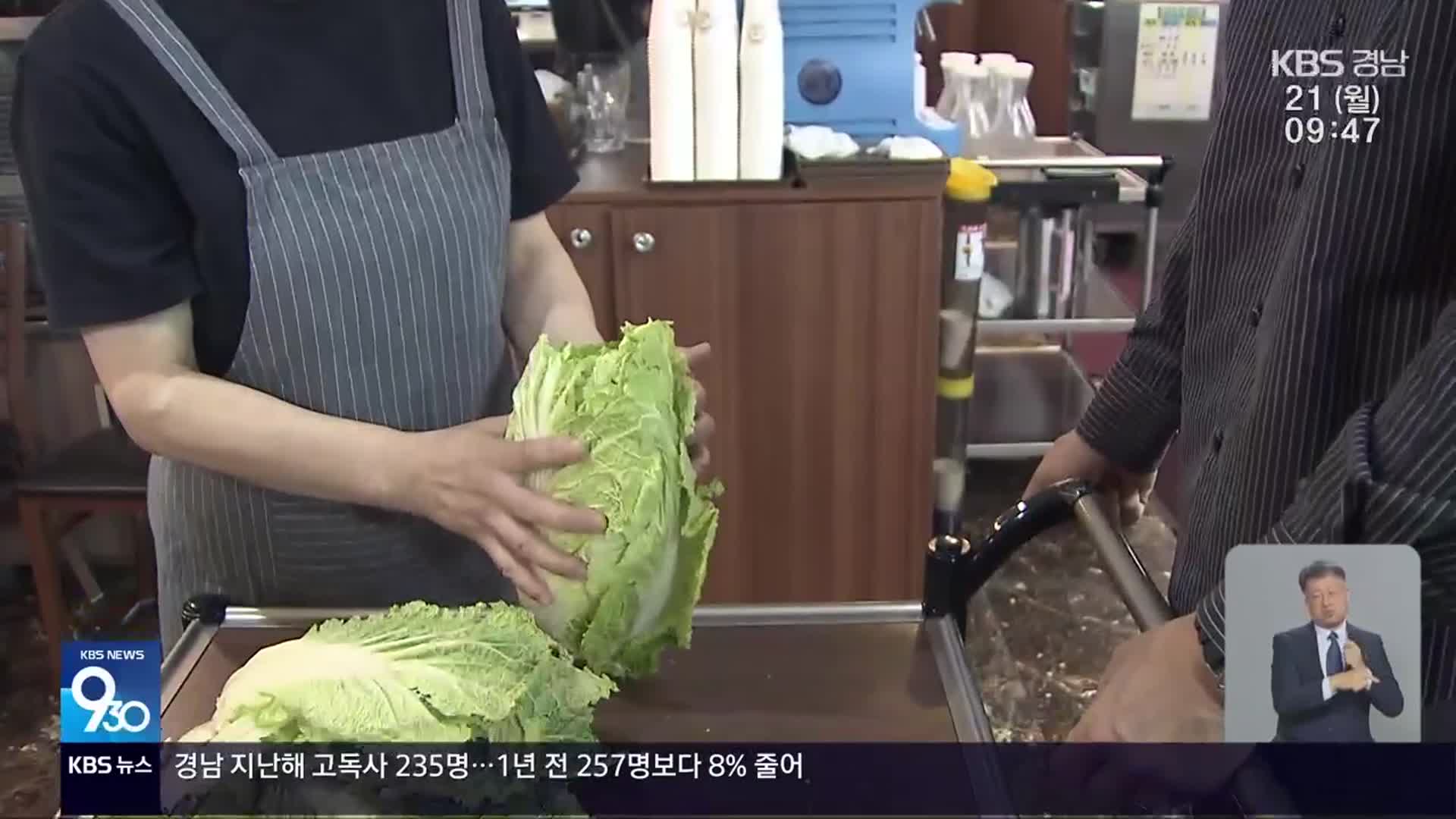 배추 등 식자재 가격 올라…식당 부담