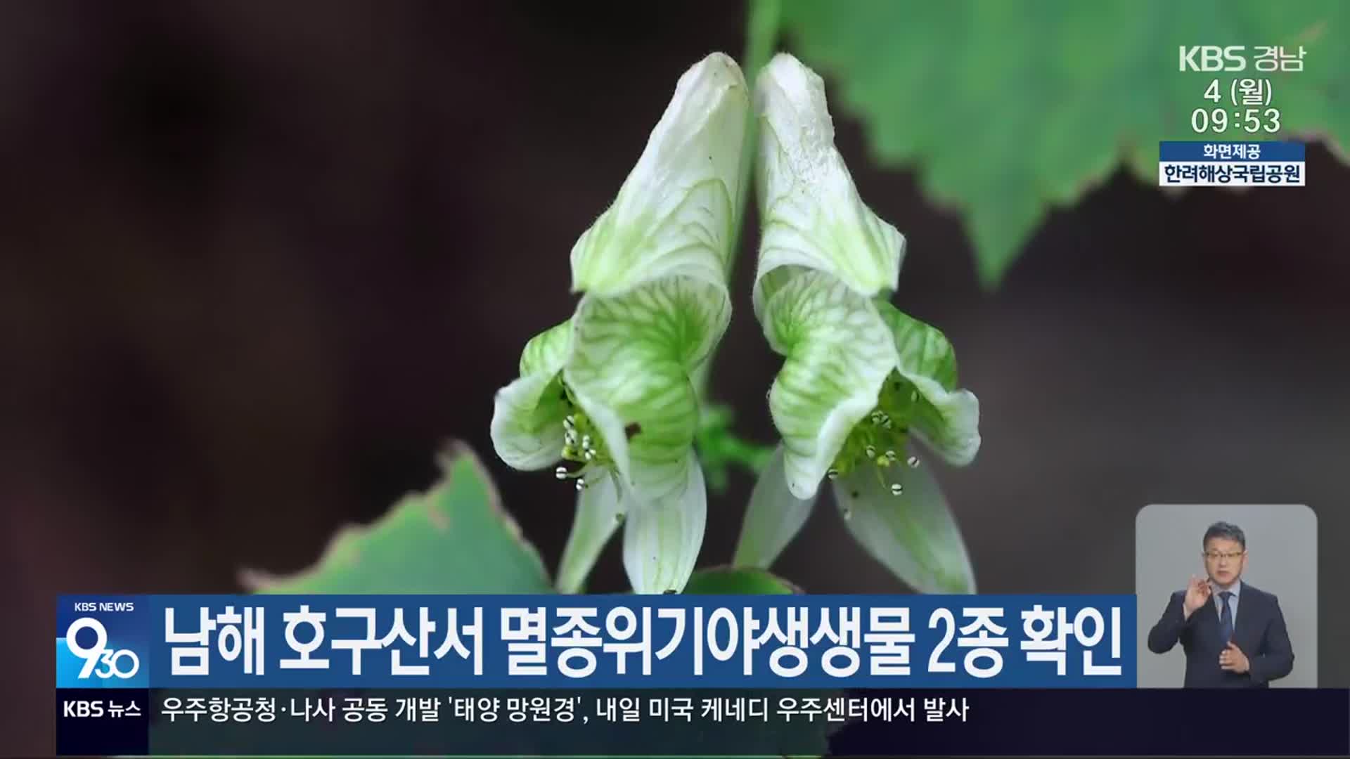 남해 호구산서 멸종위기야생생물 2종 확인