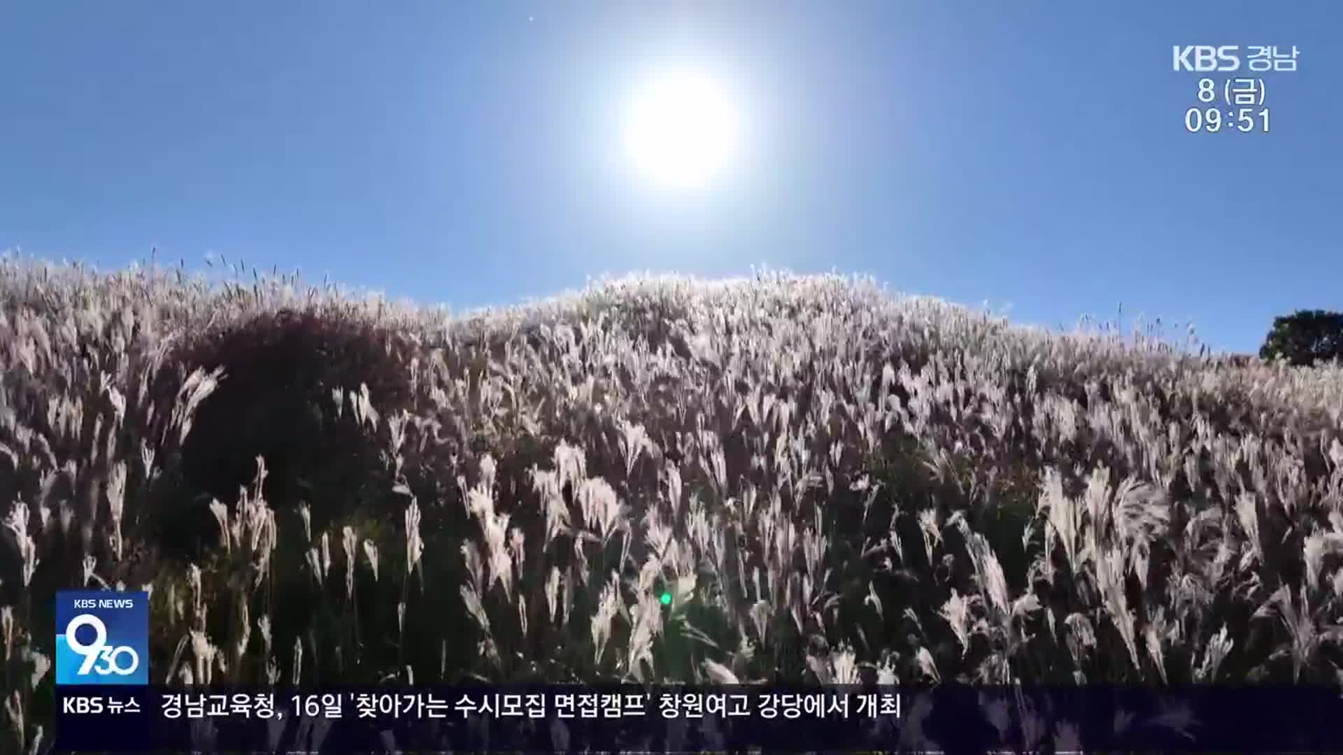 [60초 경남] 합천 황매산은 은빛 억새 물결로 ‘가득’