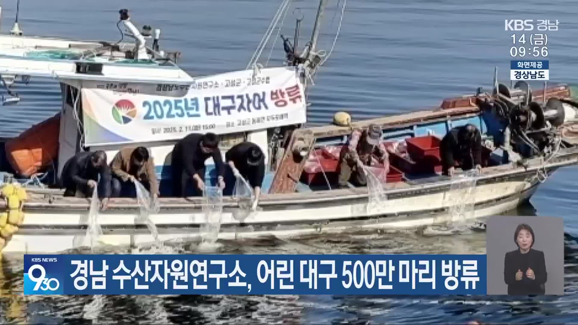 경남 수산자원연구소, 어린 대구 500만 마리 방류