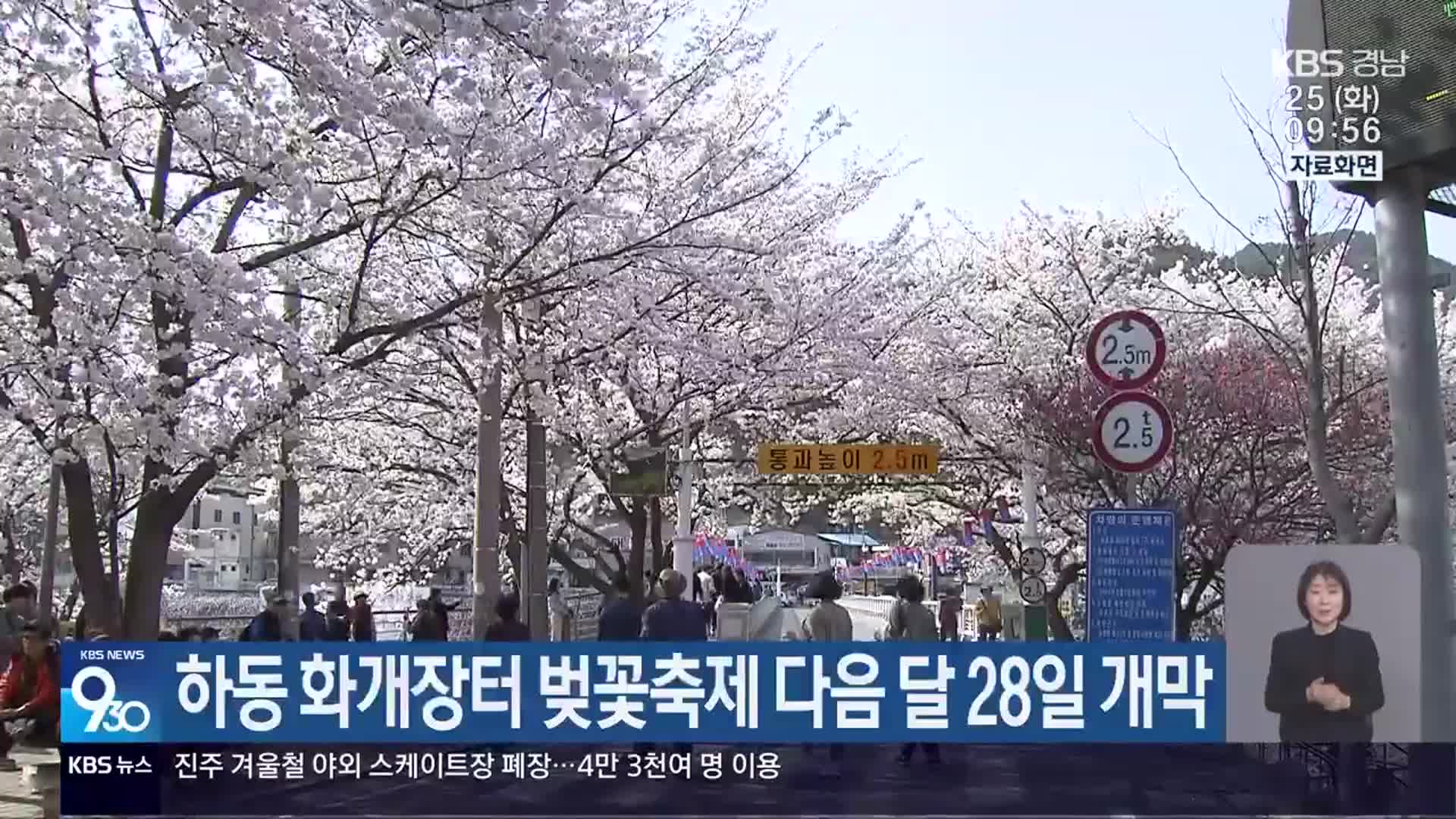 하동 화개장터 벚꽃축제 다음 달 28일 개막