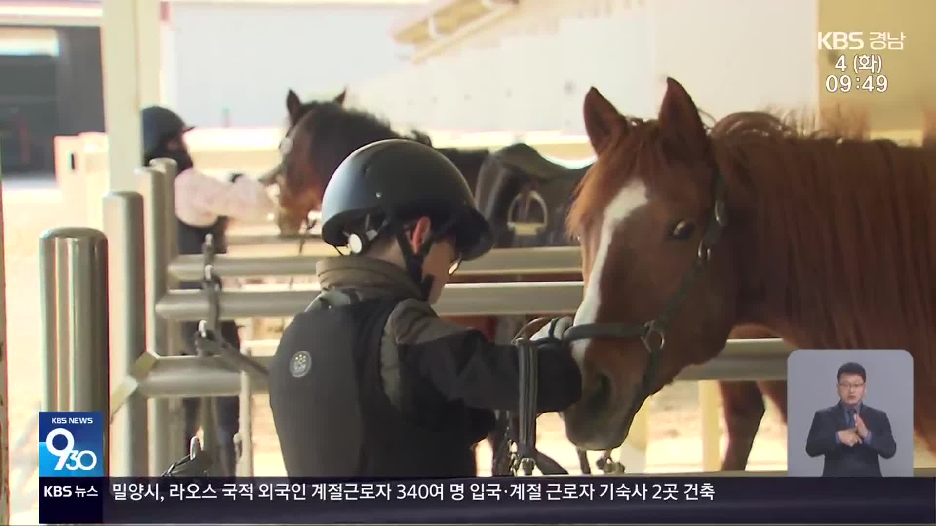 승마와 지역관광 결합 ‘승마 트레킹’…말 산업 정책 변화