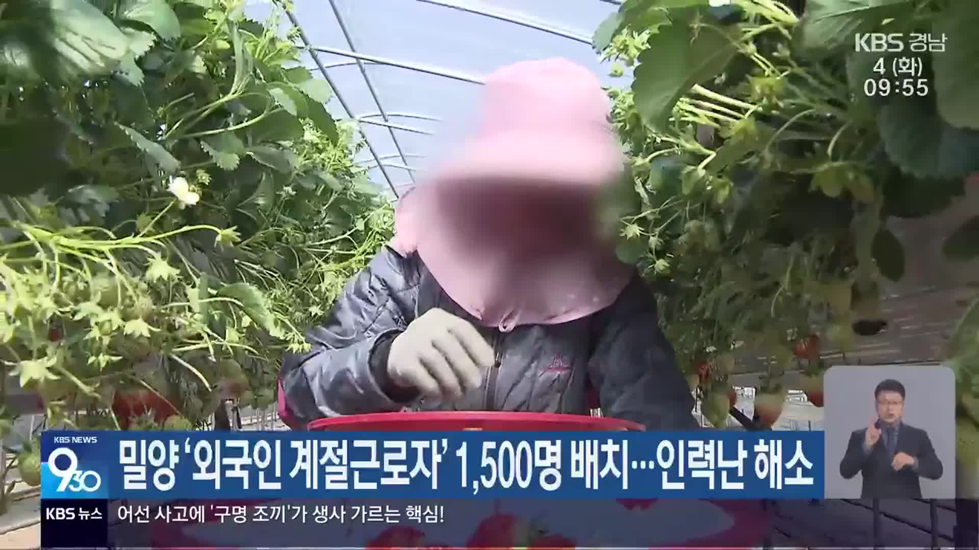 밀양 ‘외국인 계절근로자’ 1,500명 배치…인력난 해소