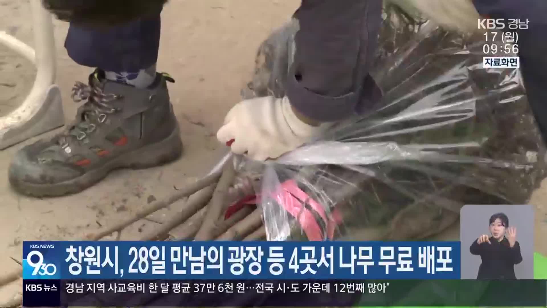 창원시, 28일 만남의 광장 등 4곳서 나무 무료 배포