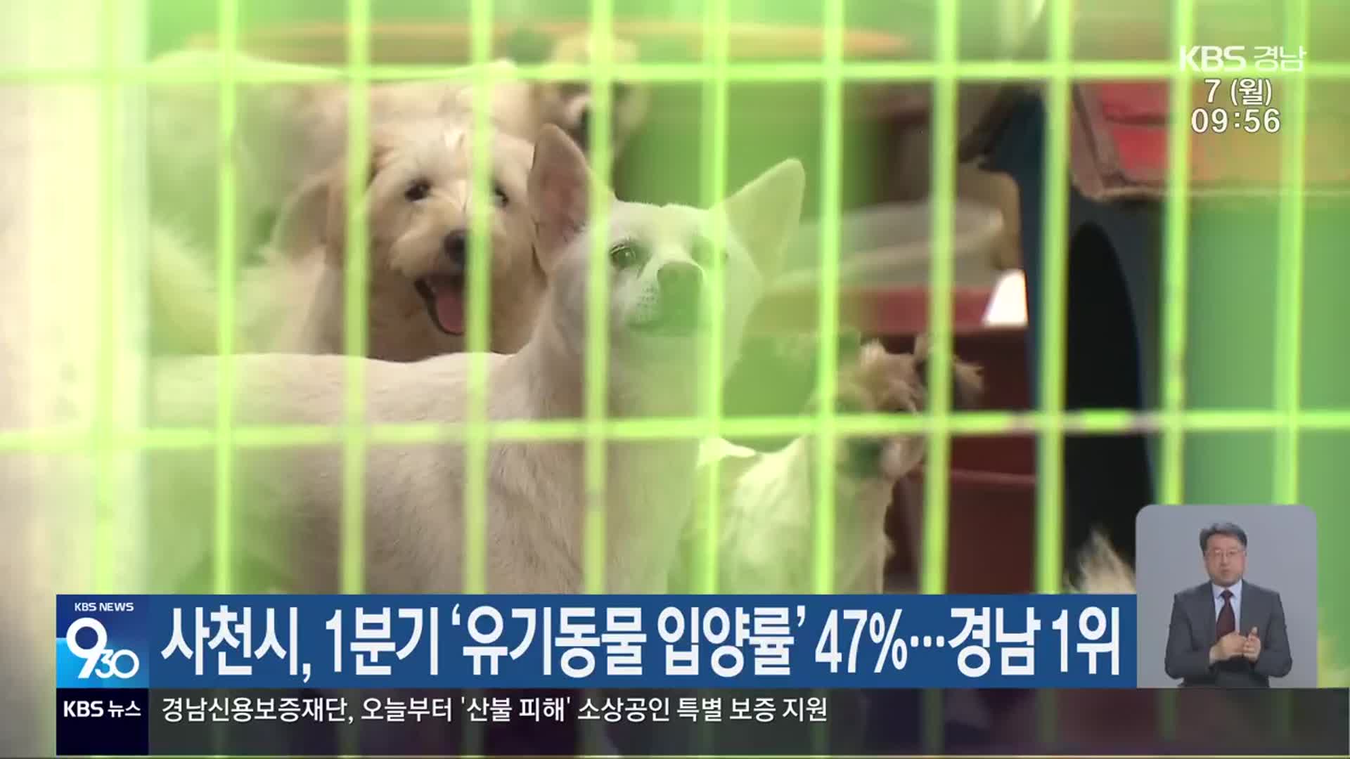 사천시, 1분기 ‘유기동물 입양률’ 47%…경남 1위
