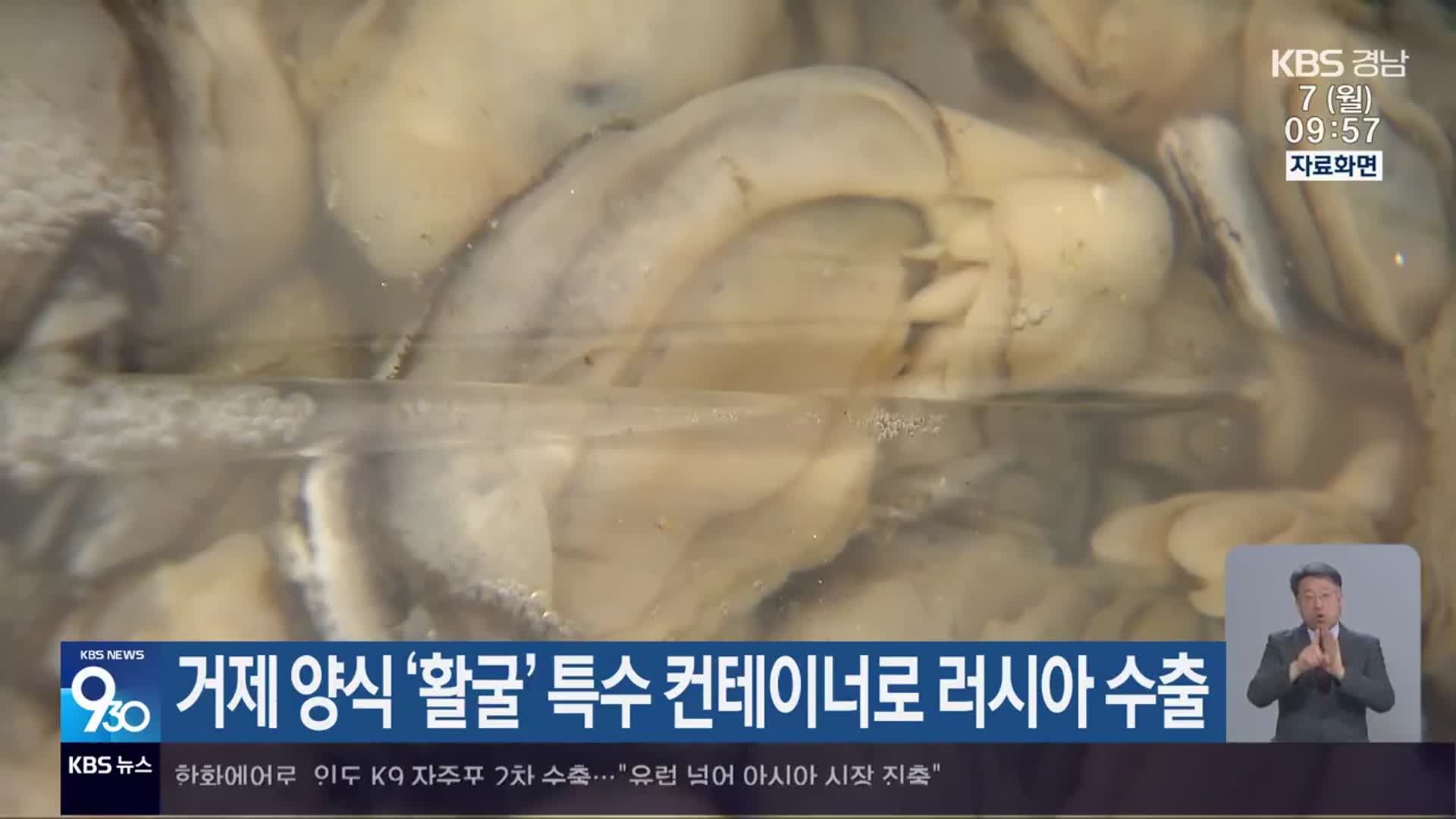 거제 양식 ‘활굴’ 특수 컨테이너로 러시아 수출