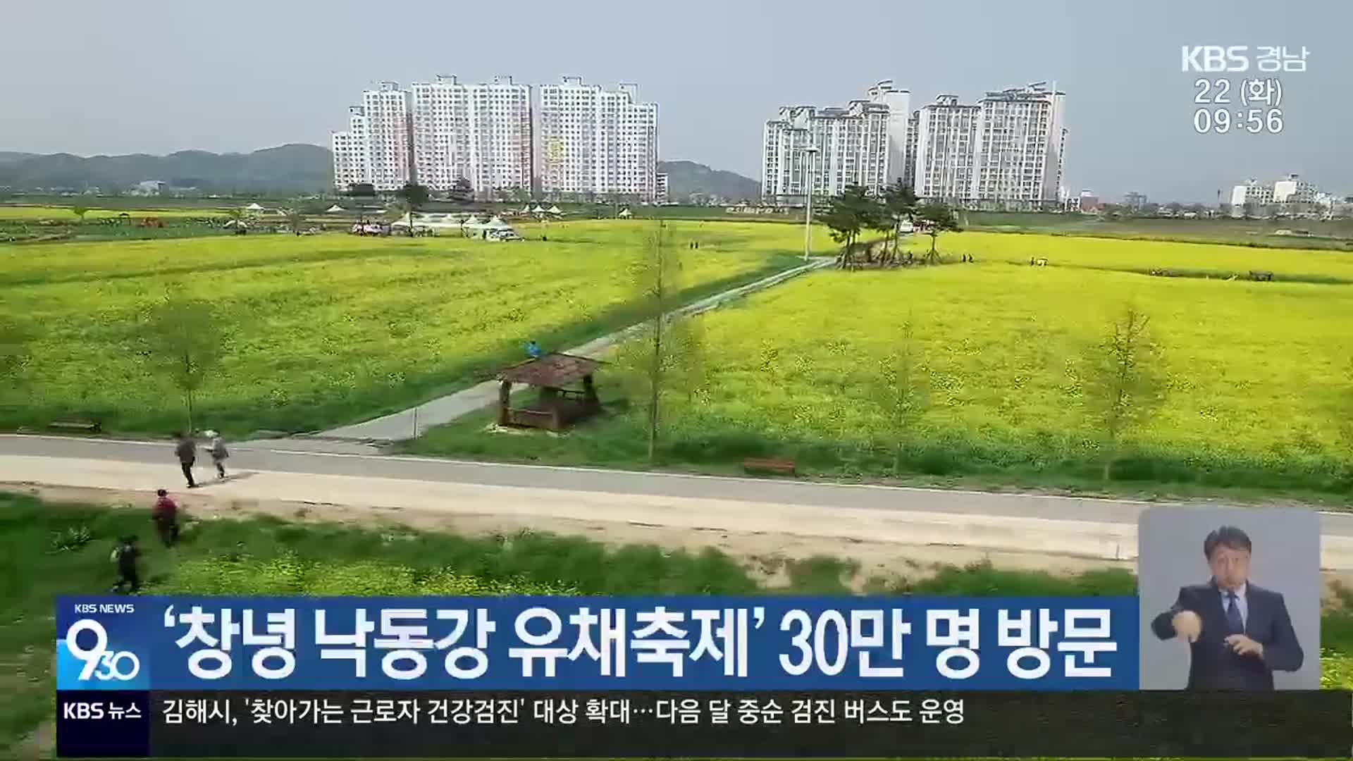 ‘창녕 낙동강 유채축제’ 30만 명 방문