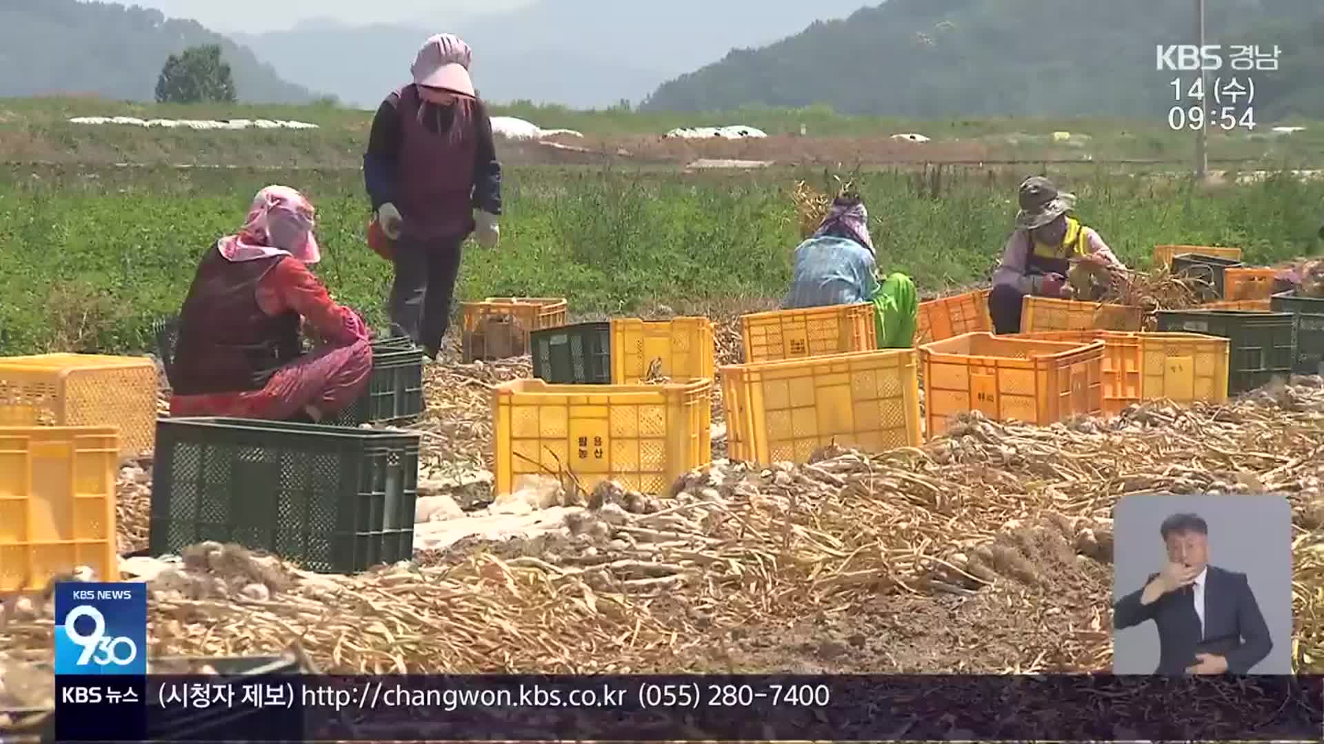 ‘불법 체류자’ 단속…농민은 인력난 호소