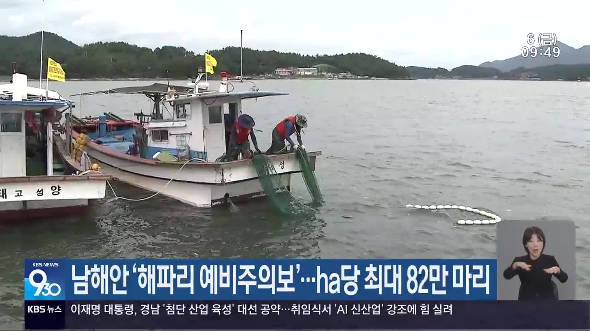 남해안 ‘해파리 예비주의보’…ha당 최대 82만 마리