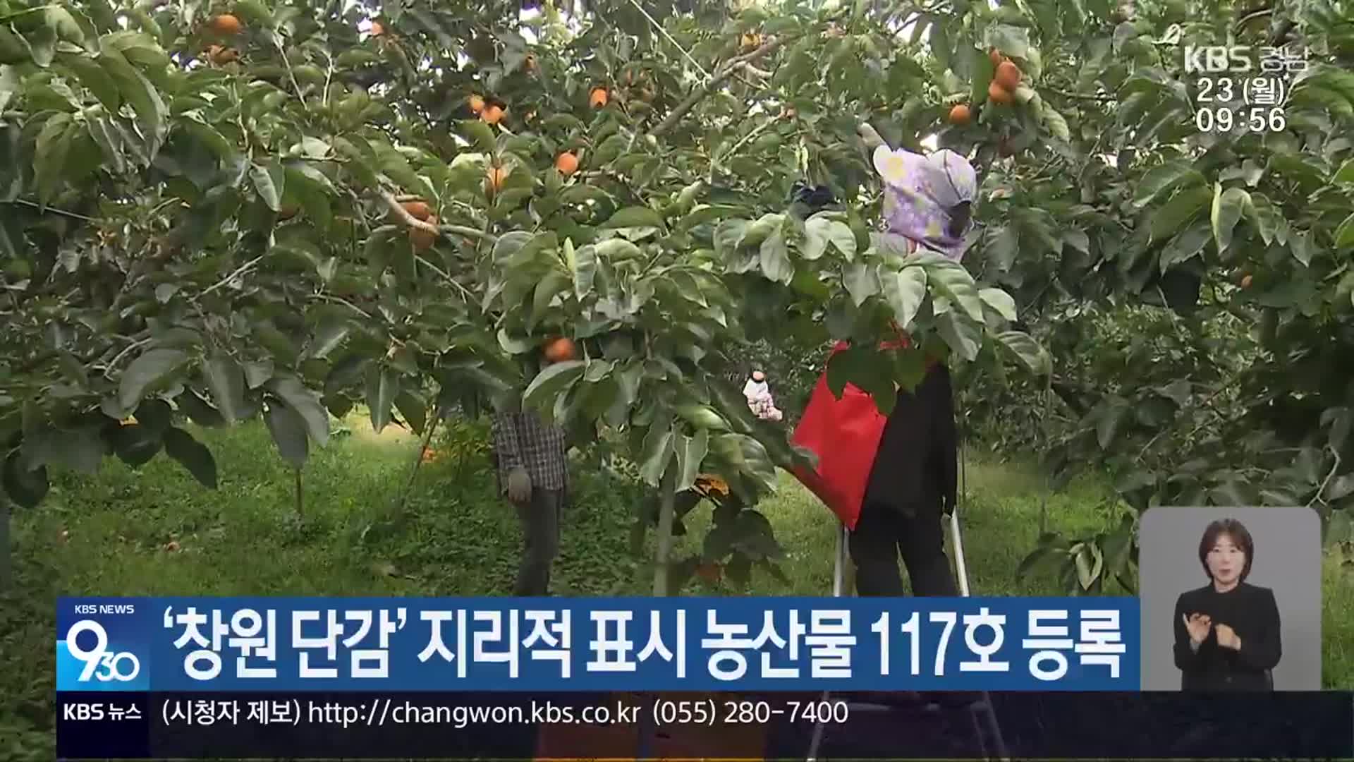 ‘창원 단감’ 지리적 표시 농산물 117호 등록