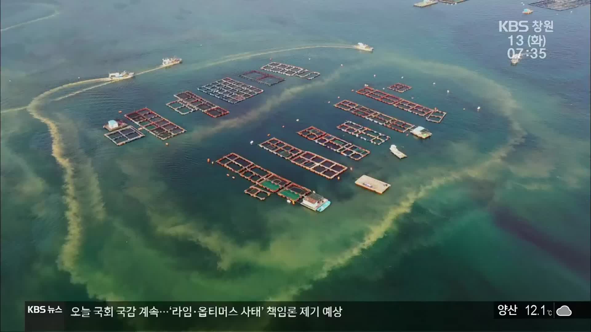 경남 올해 첫 적조, 가을 이례적 발생 ‘긴장’