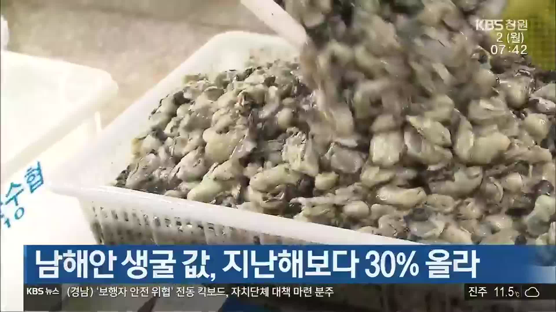 남해안 생굴 값, 지난해보다 30% 올라