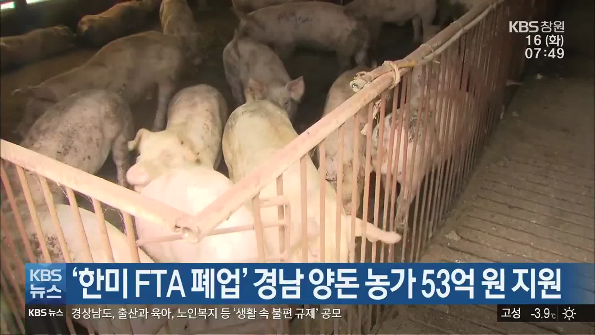 ‘한미 FTA 폐업’ 경남 양돈 농가 53억 원 지원