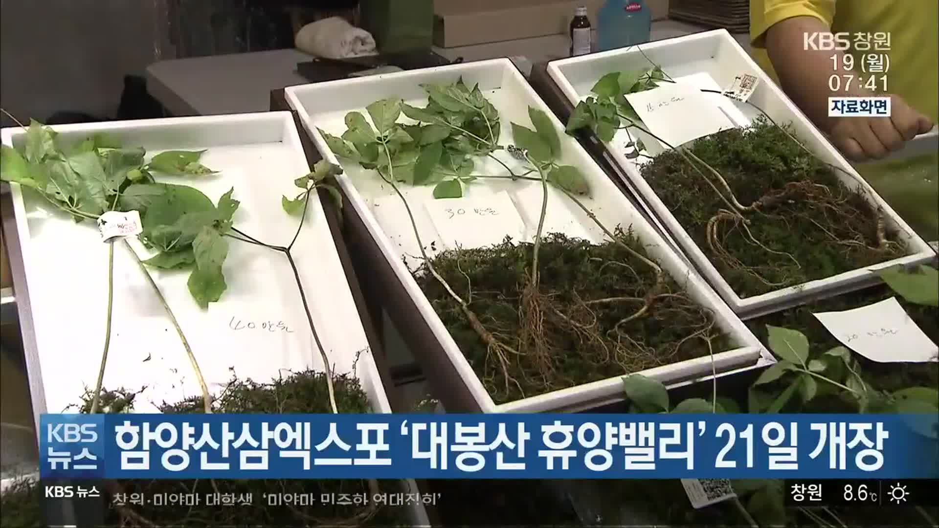 함양산삼엑스포 ‘대봉산 휴양밸리’ 21일 개장