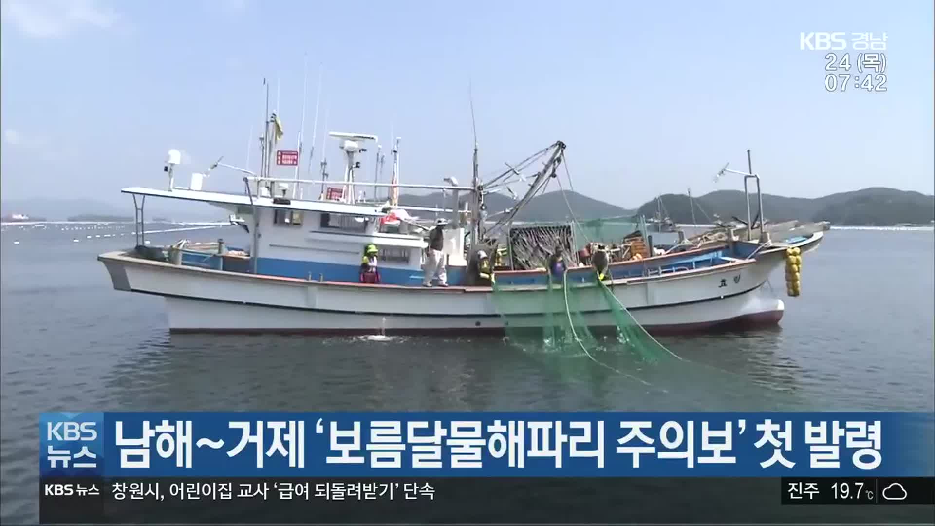 남해~거제 ‘보름달물해파리 주의보’ 첫 발령