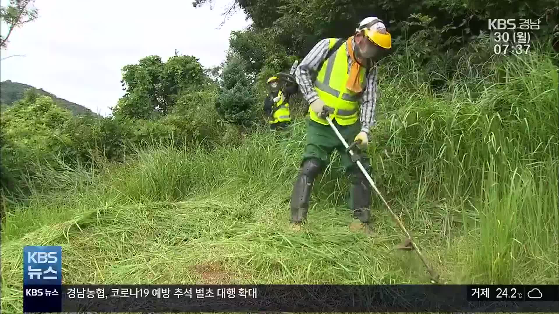 “조상님 죄송합니다”…거리두기에 벌초도 ‘비상’