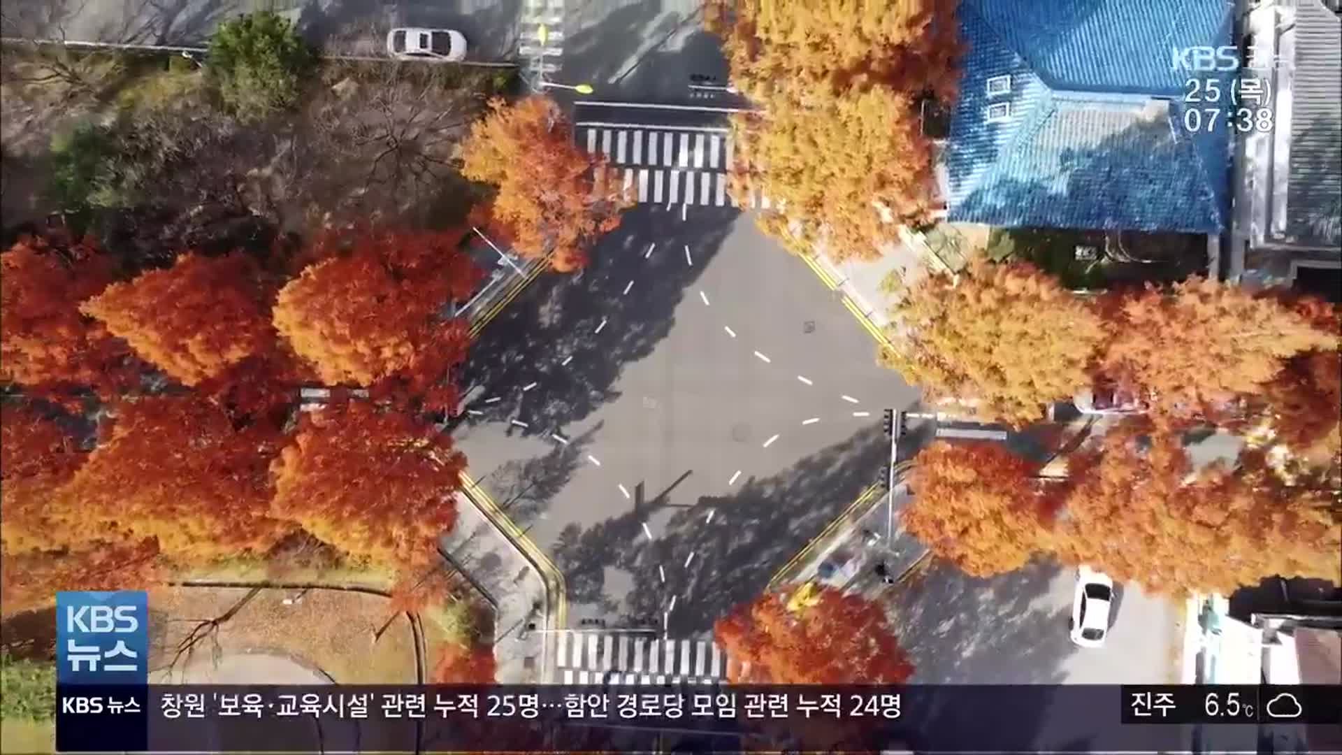 [영상] 도심 속 펼쳐진 가을의 끝자락