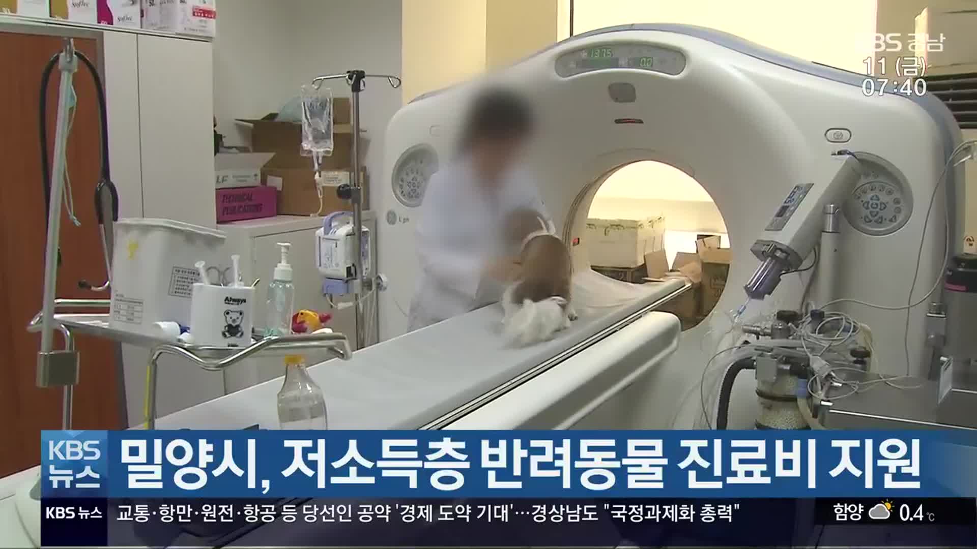 밀양시, 저소득층 반려동물 진료비 지원