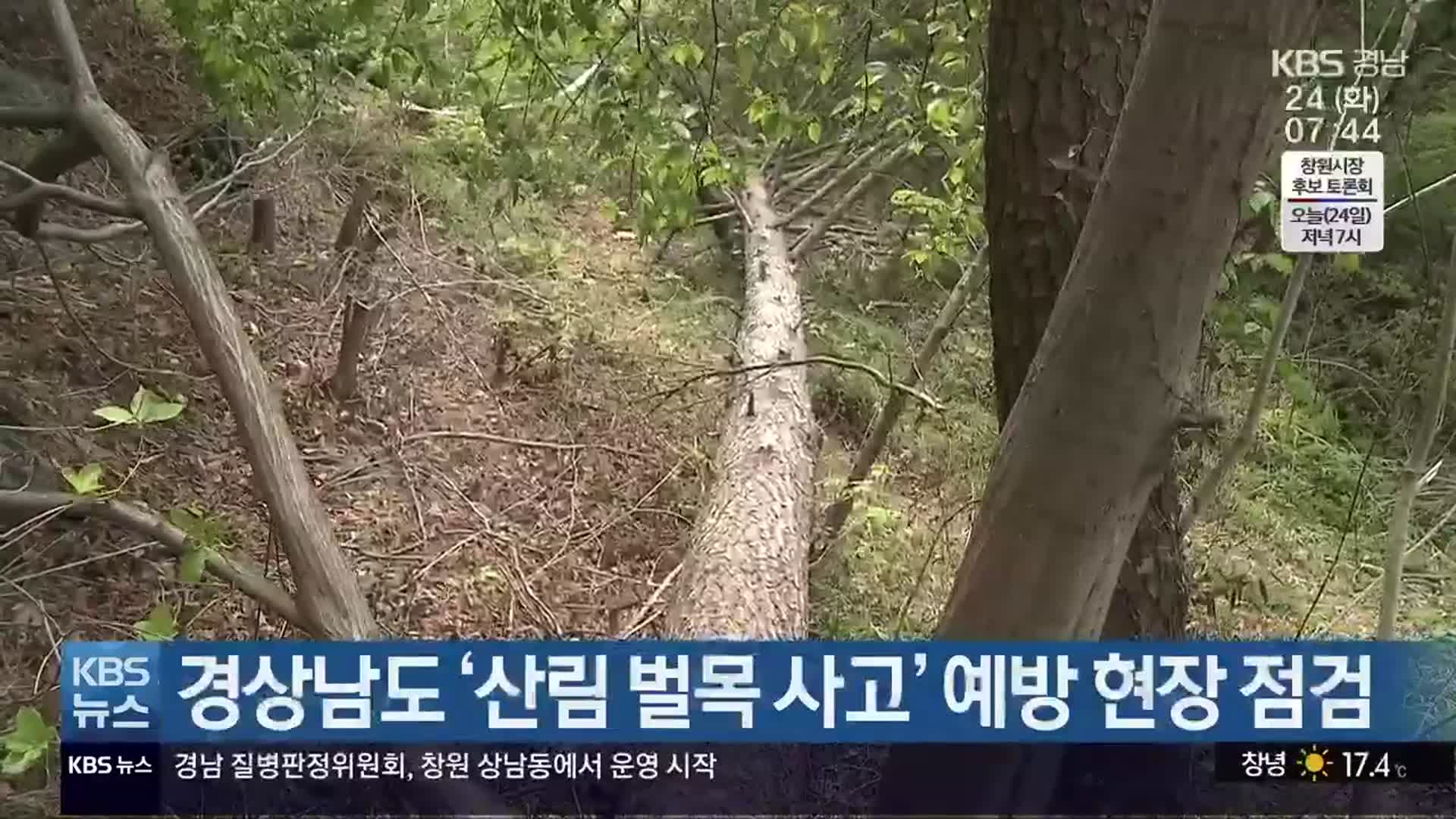 경상남도 ‘산림 벌목 사고’ 예방 현장 점검