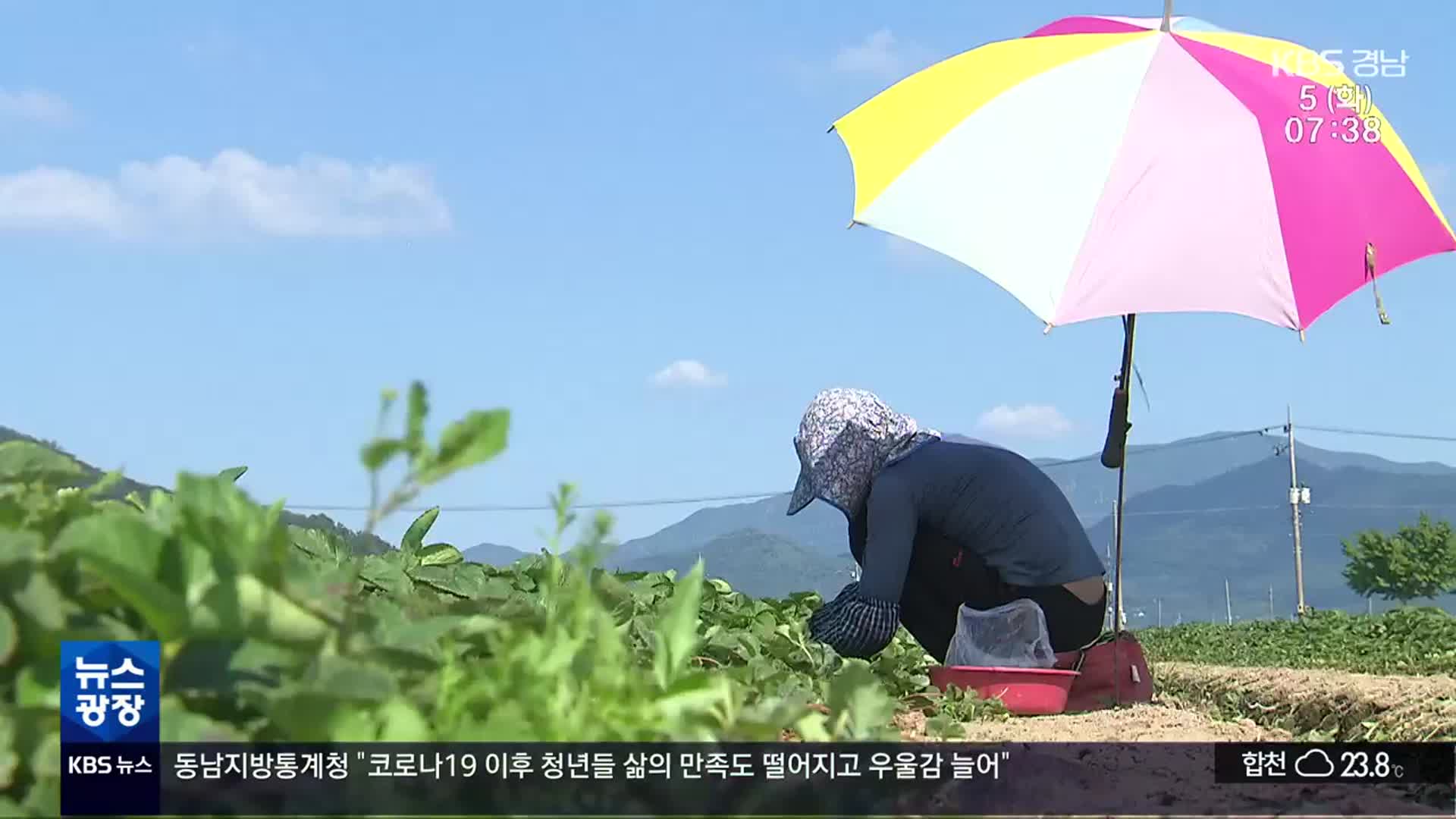 폭염 속 야외 작업자 잇단 사망…논밭 ‘온열질환 주의보’