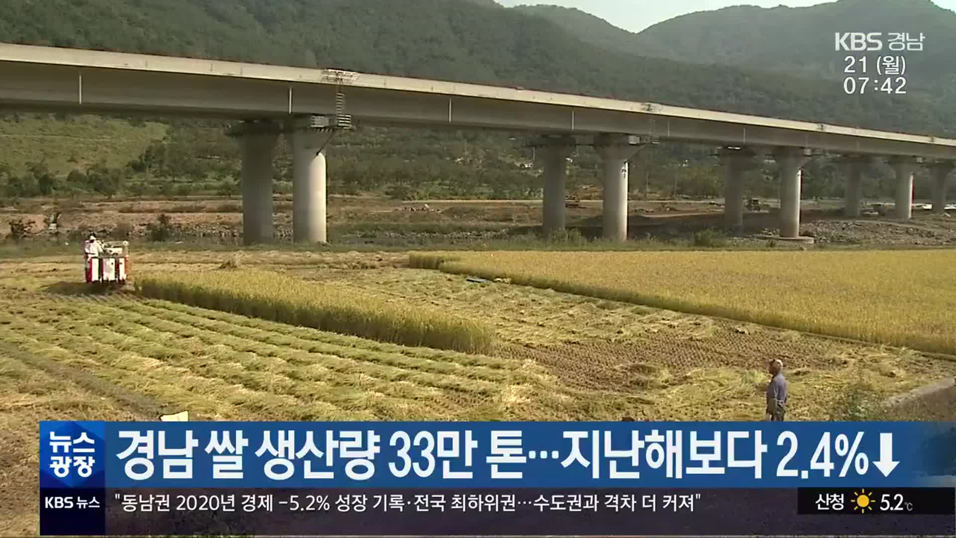 경남 쌀 생산량 33만 톤…지난해보다 2.4% ↓