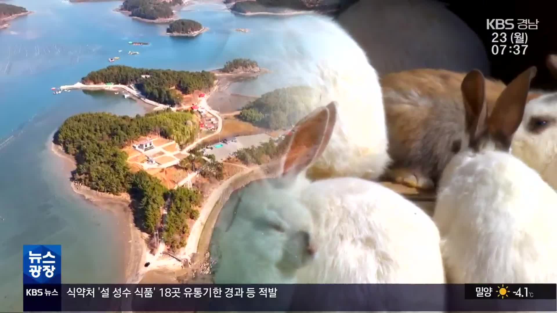 [영상] 토끼해, 계묘년 토끼섬