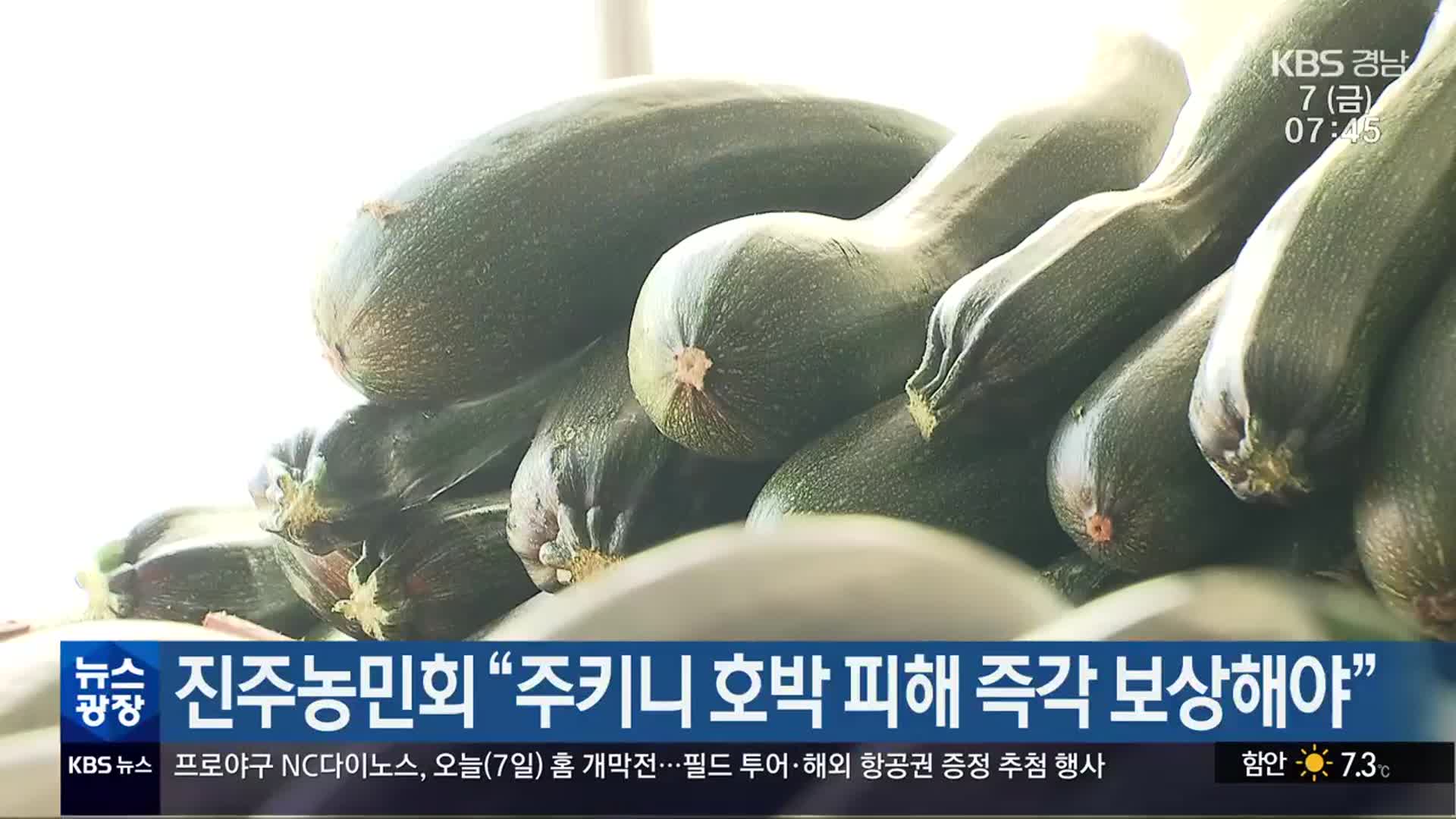 Kbs 뉴스