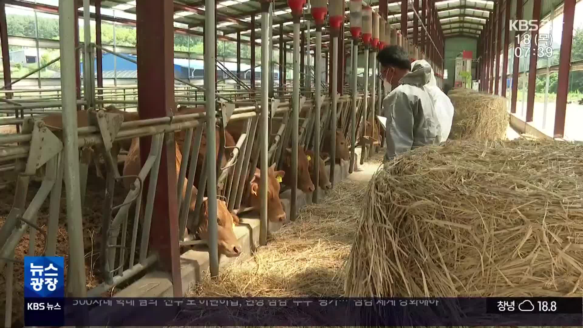 긴급 백신 접종…“구제역 차단 총력”