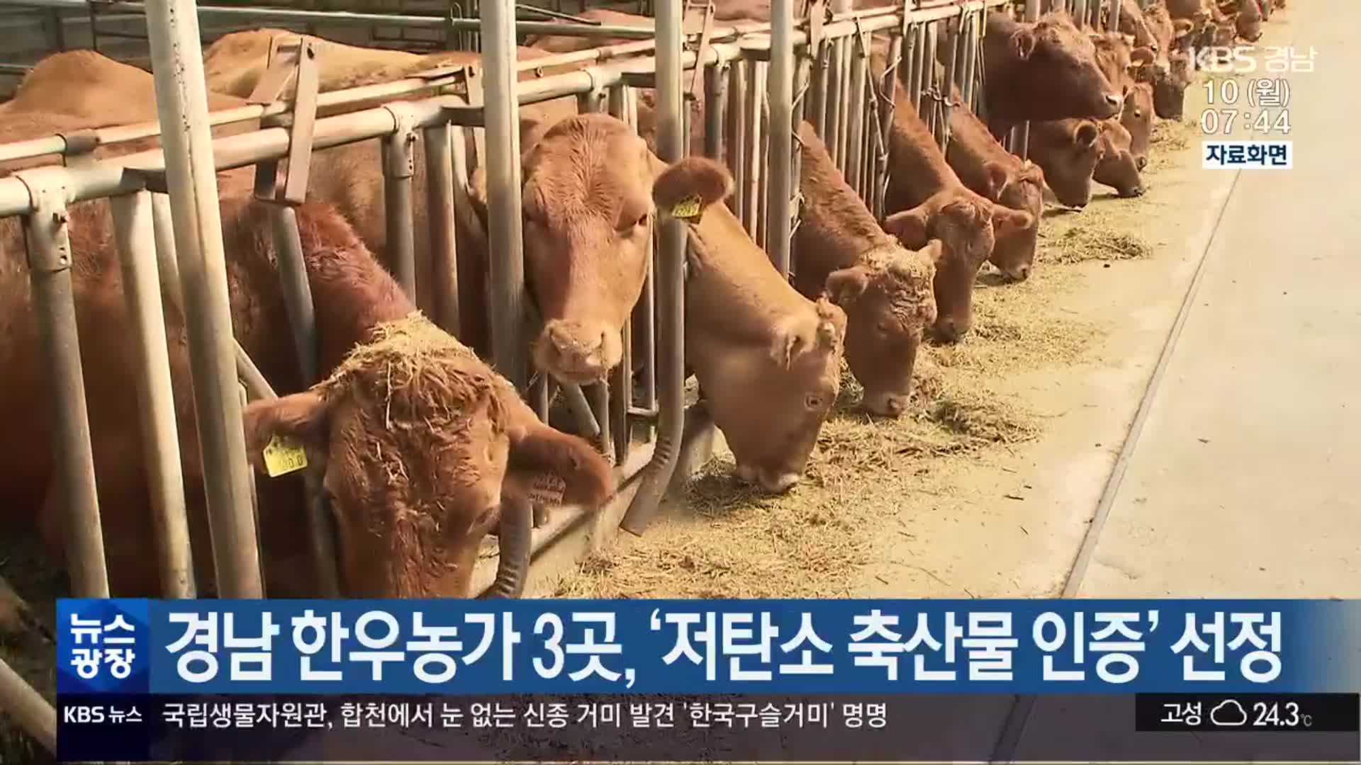 경남 한우농가 3곳, ‘저탄소 축산물 인증’ 선정