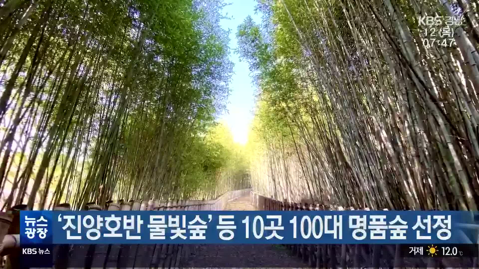 ‘진양호반 물빛숲’ 등 10곳 100대 명품숲 선정