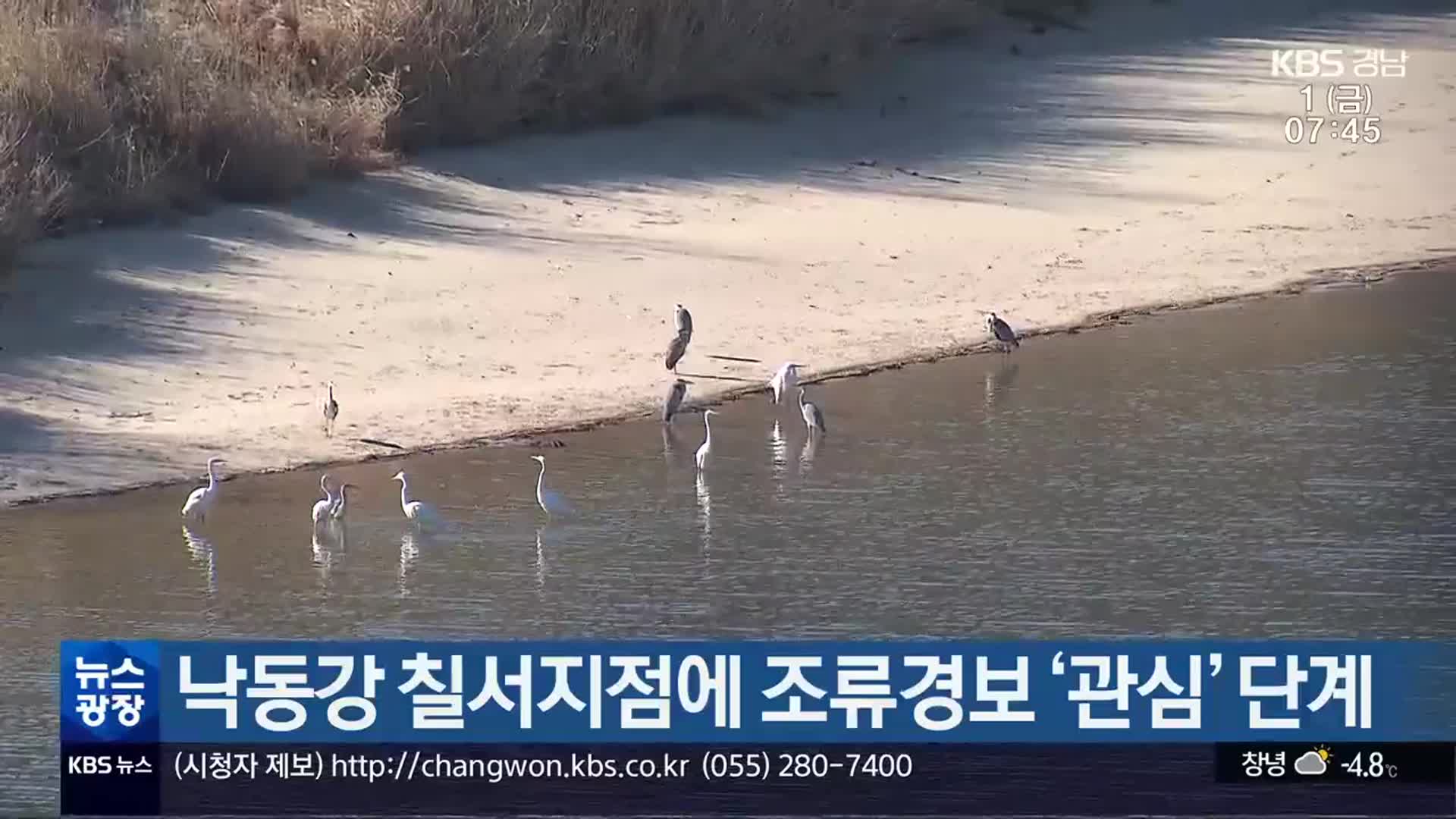 낙동강 칠서지점에 조류경보 ‘관심’ 단계