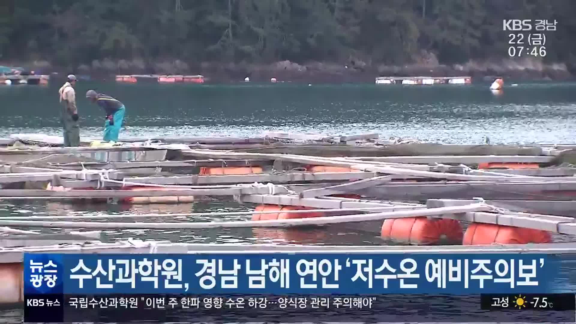 수산과학원, 경남 남해 연안 ‘저수온 예비주의보’