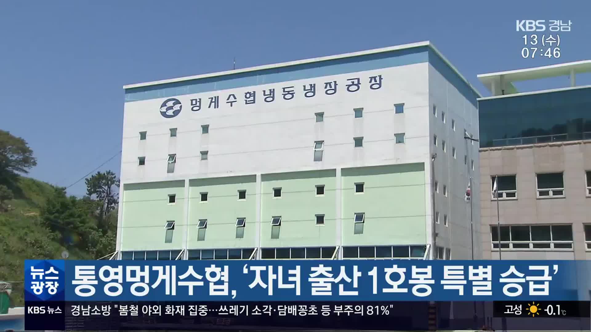 통영멍게수협, ‘자녀 출산 1호봉 특별 승급’