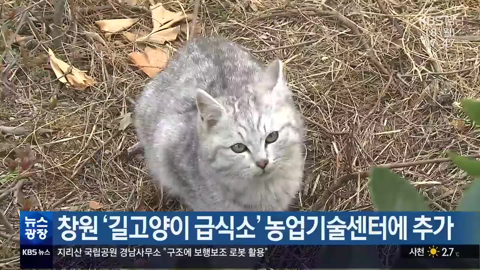 창원 ‘길고양이 급식소’ 농업기술센터에 추가