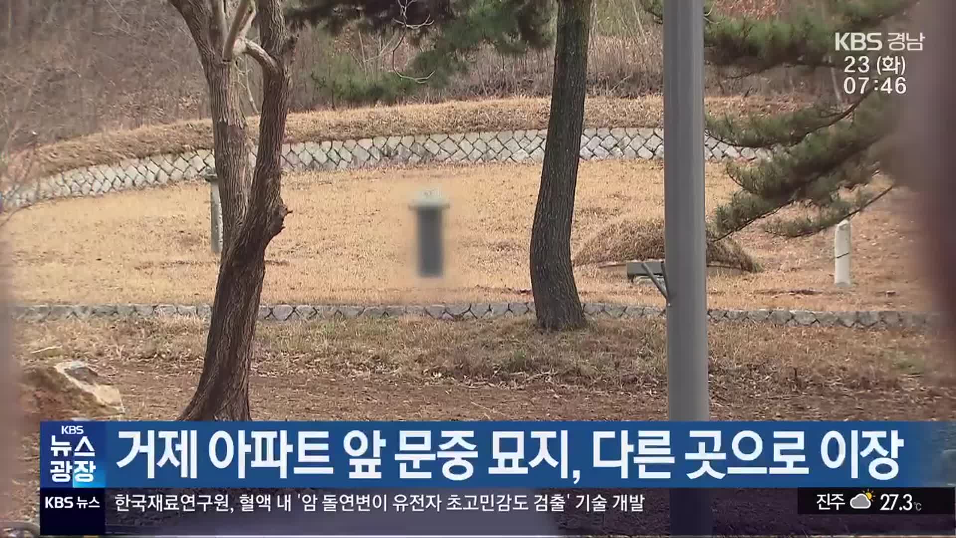 거제 아파트 앞 문중 묘지, 다른 곳으로 이장