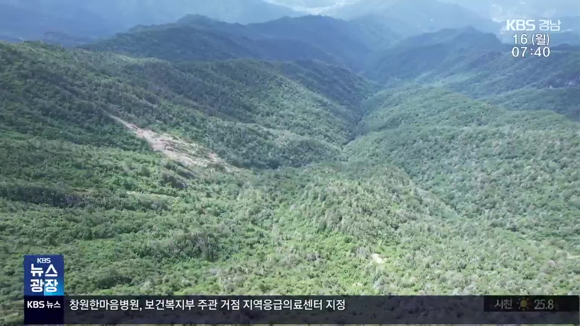 지리산 케이블카, 사업비·경제성 우려