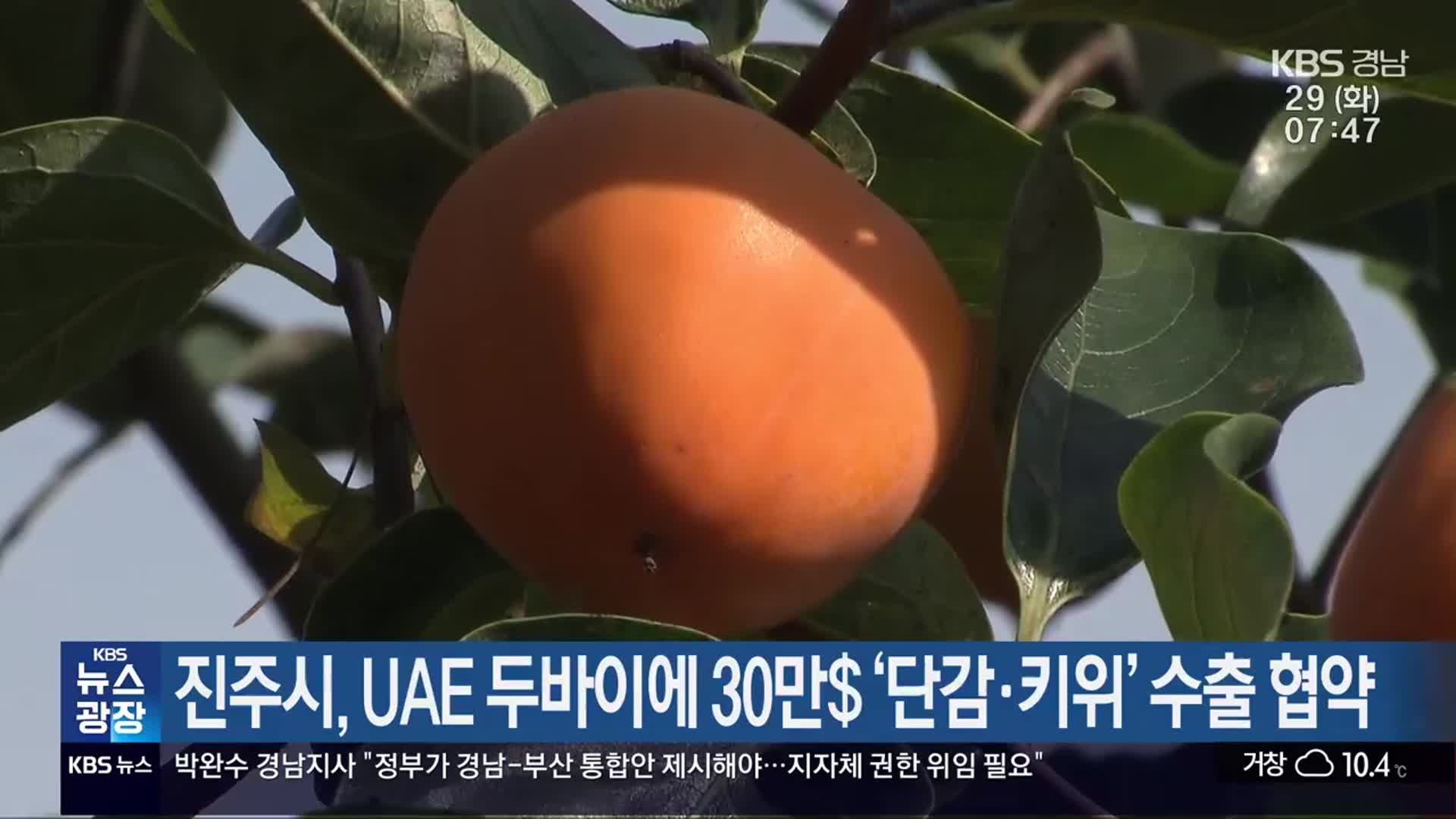 진주시, UAE 두바이에 30만$ ‘단감·키위’ 수출 협약