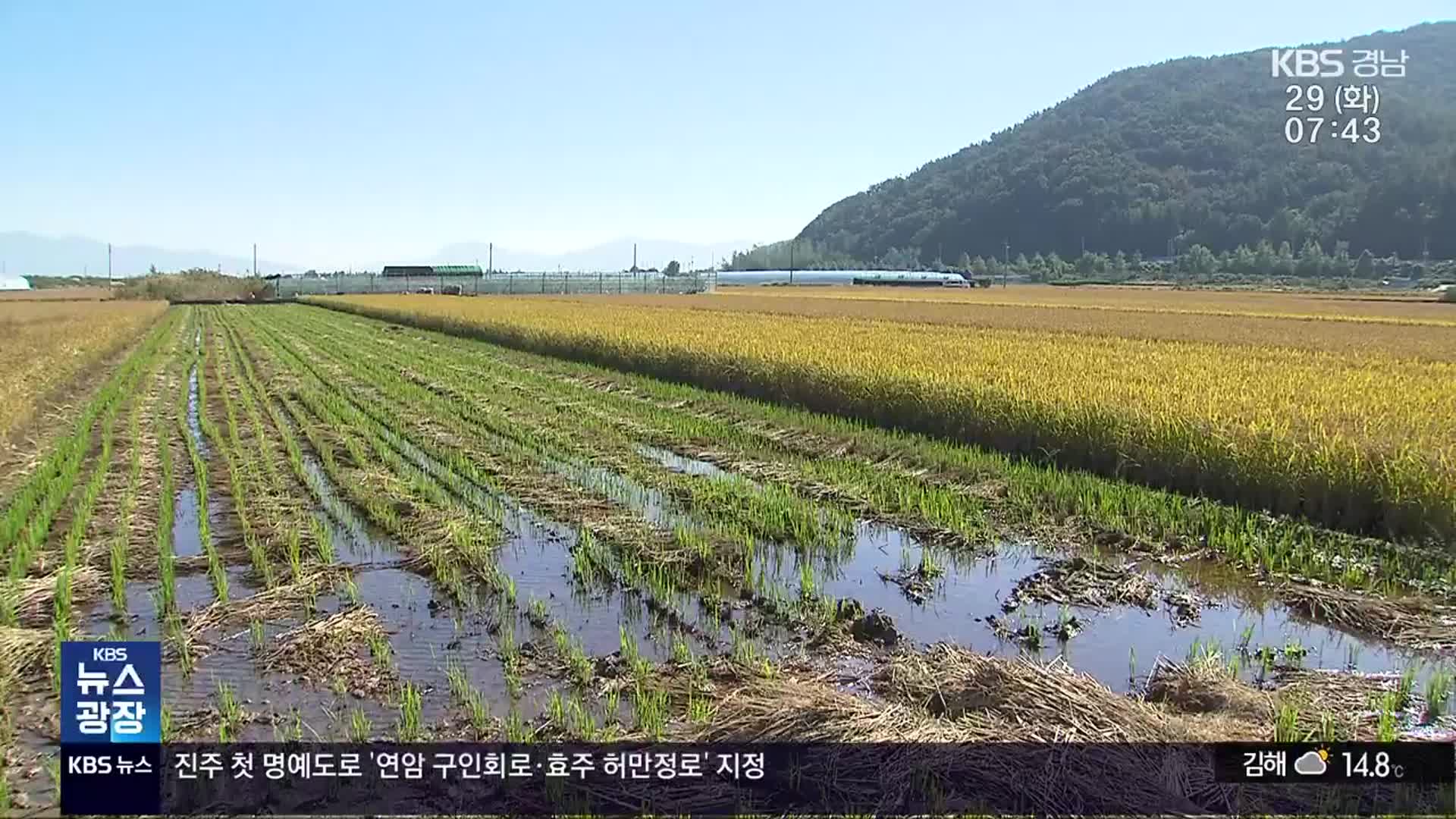 ‘호우 피해’ 농민들…집단 소송 예고