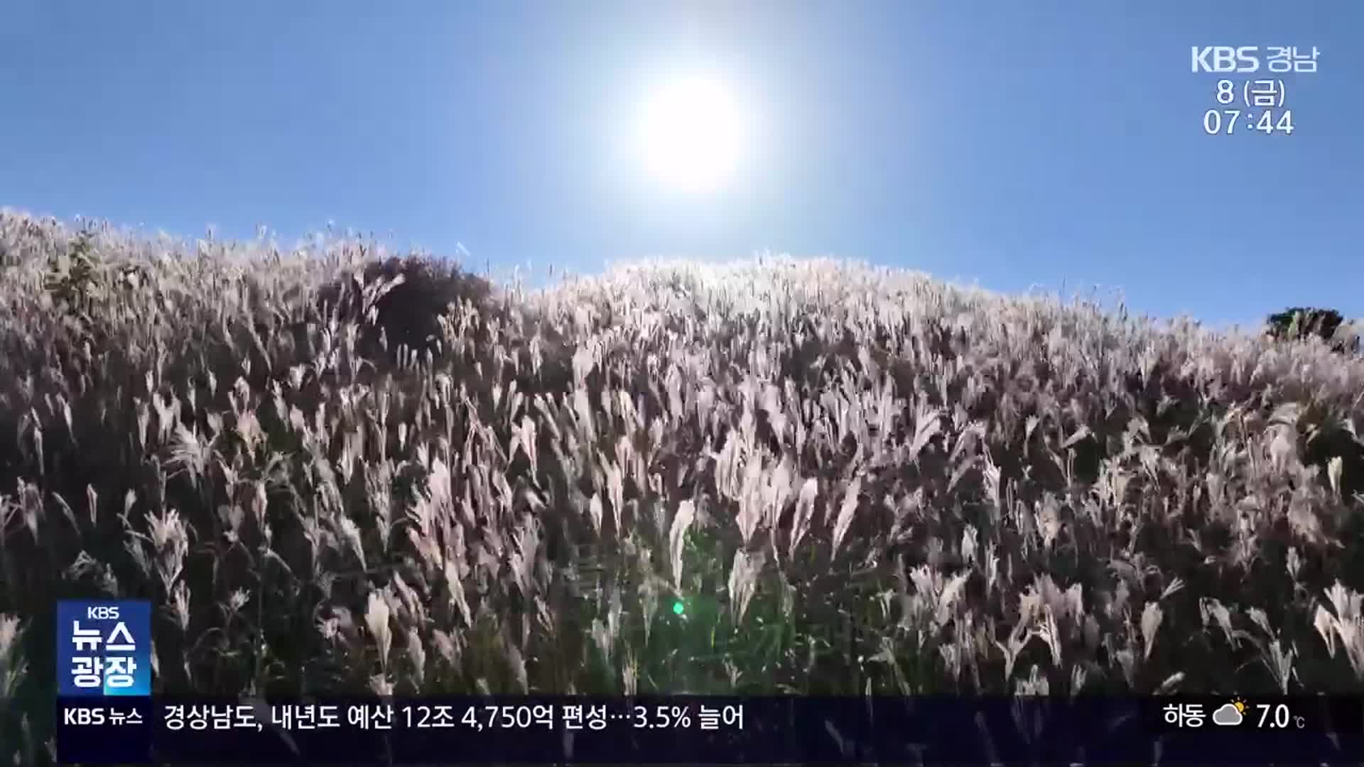 [60초 경남] 합천 황매산은 은빛 억새 물결로 ‘가득’