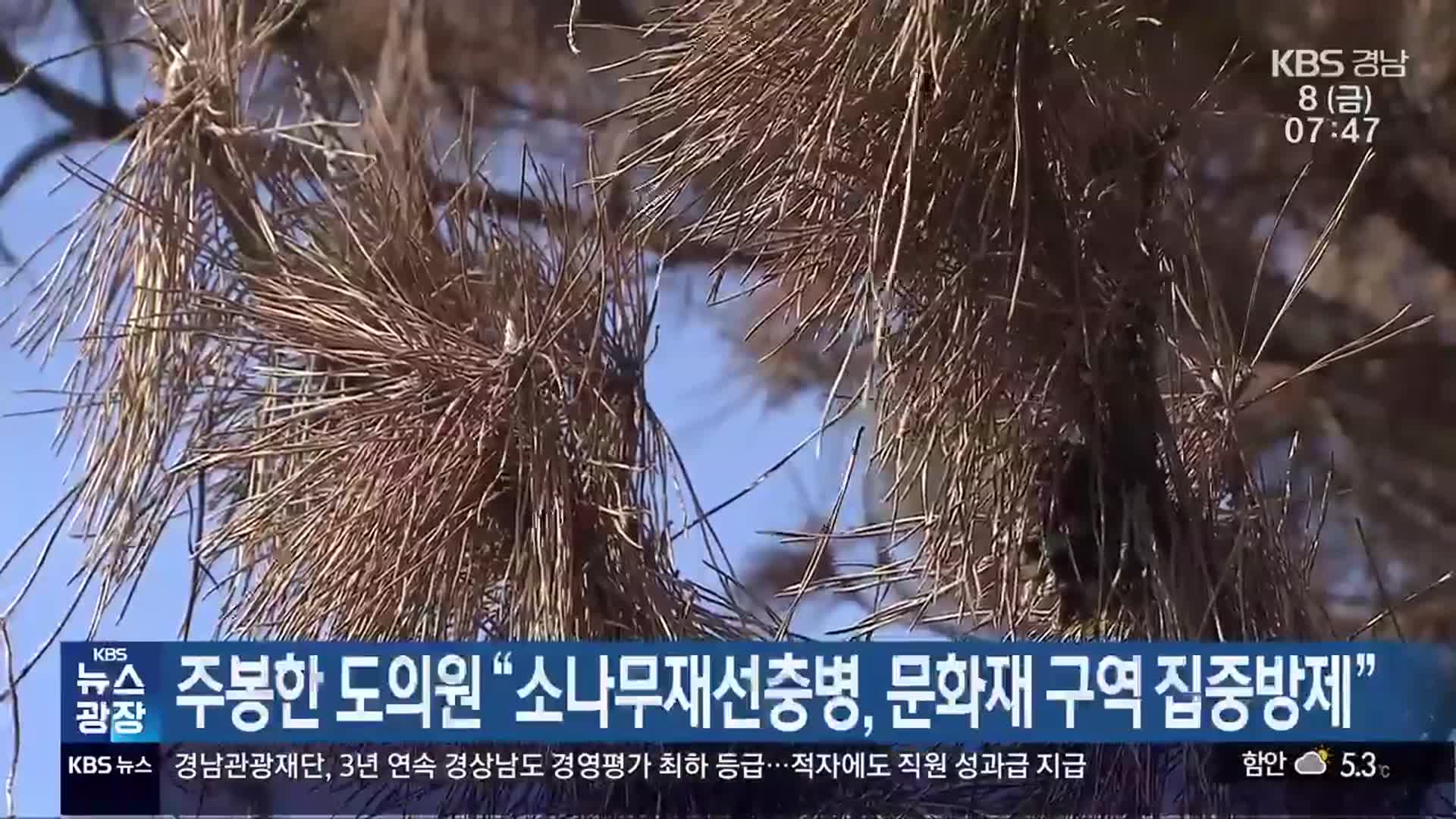 주봉한 도의원 “소나무재선충병, 문화재 구역 집중방제”