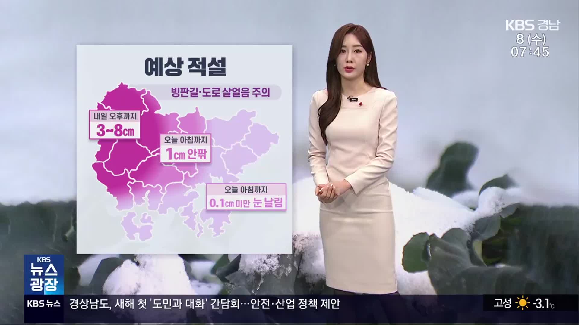 [날씨] 경남 서부내륙 많은 눈…모레까지 최대 8cm