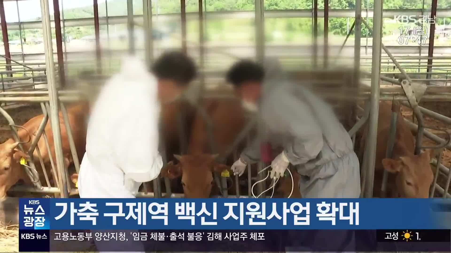 가축 구제역 백신 지원사업 확대