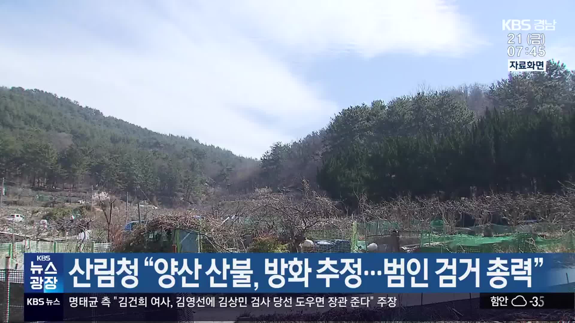 산림청 “양산 산불, 방화 추정…범인 검거 총력”
