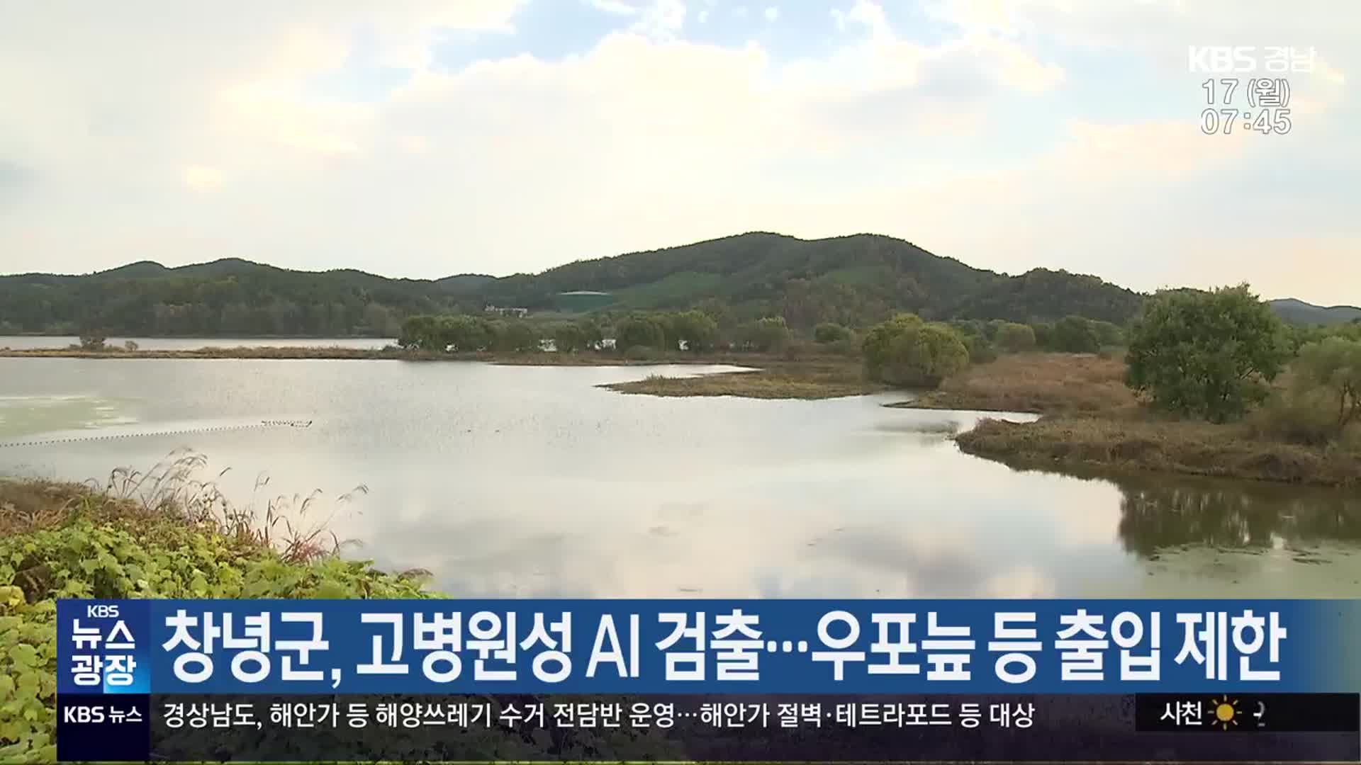 창녕군, 고병원성 AI 검출…우포늪 등 출입 제한