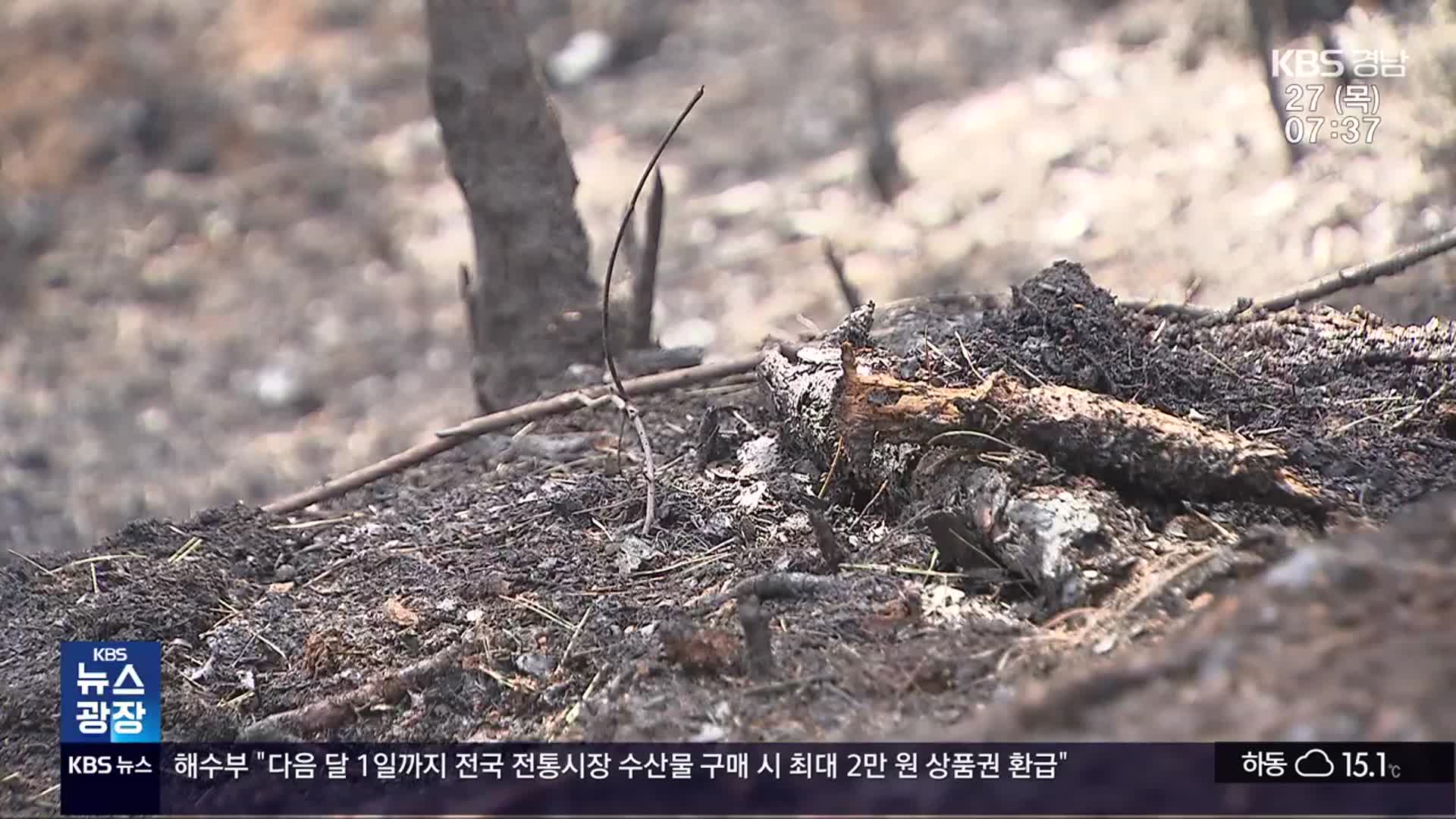 나무도 딸기도 산불 영향…‘화마’ 피해 고스란히