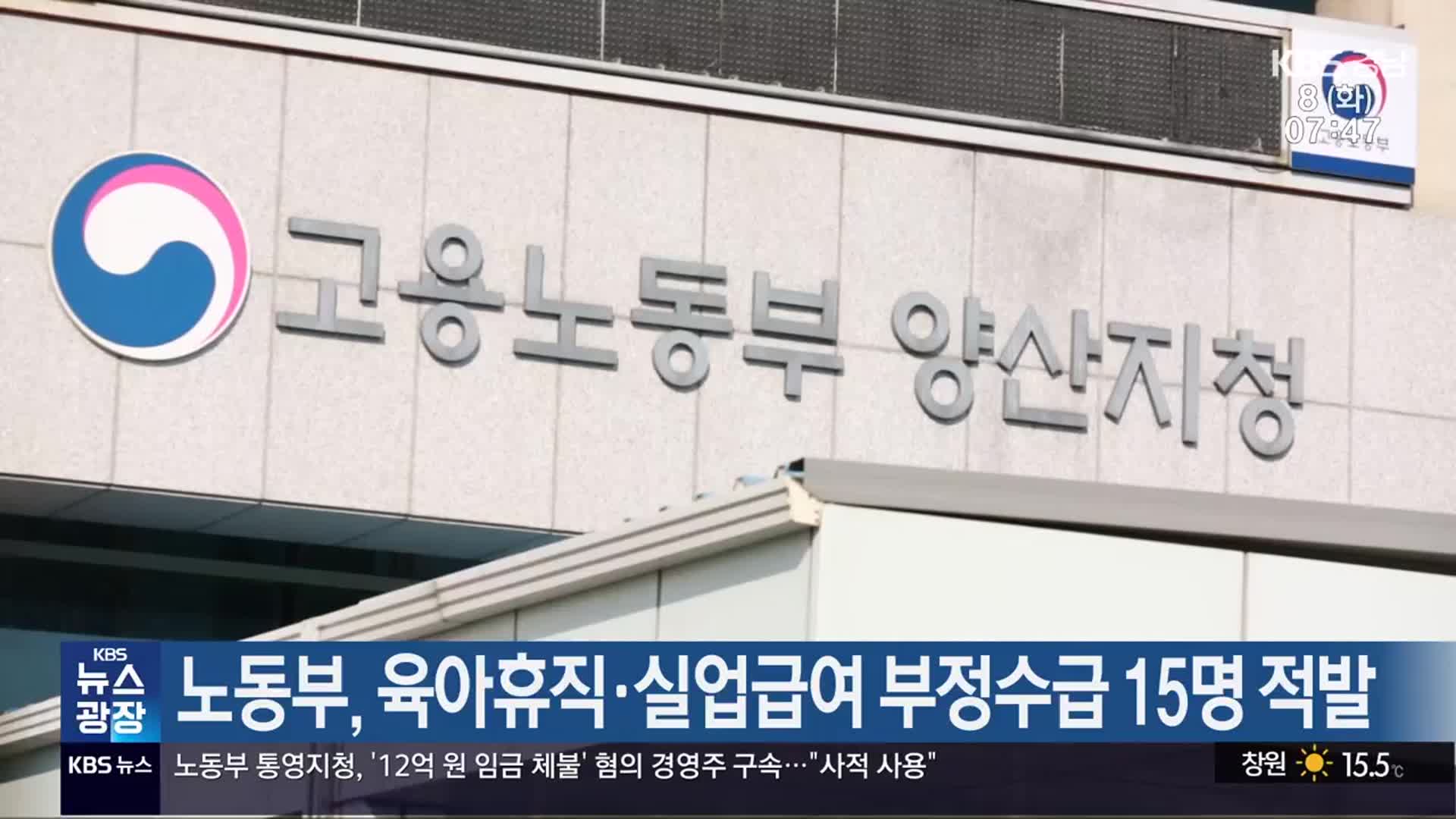 노동부, 육아휴직·실업급여 부정수급 15명 적발