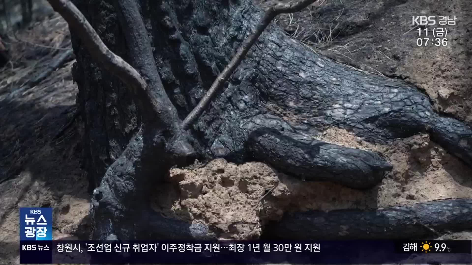 화마가 삼킨 산청…이제는 산사태 우려