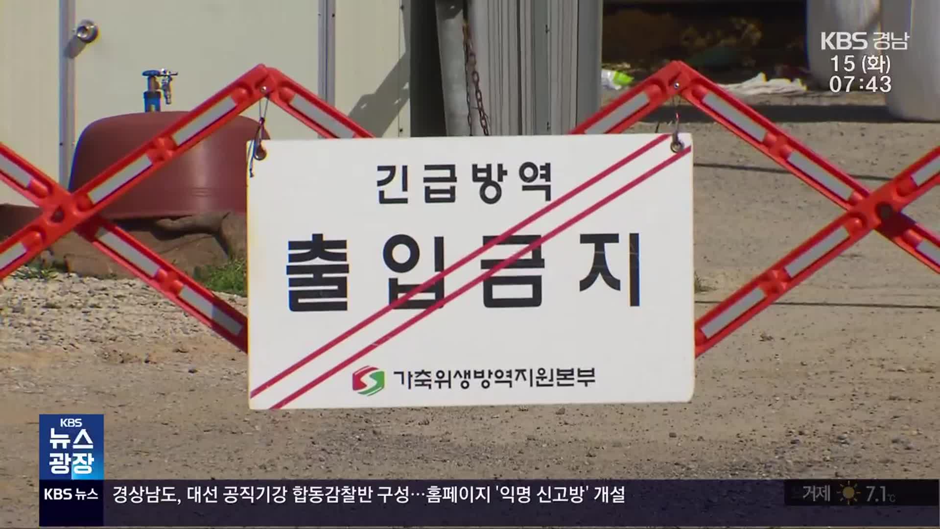 전남, 돼지까지 구제역 발생…경남도 방역 비상