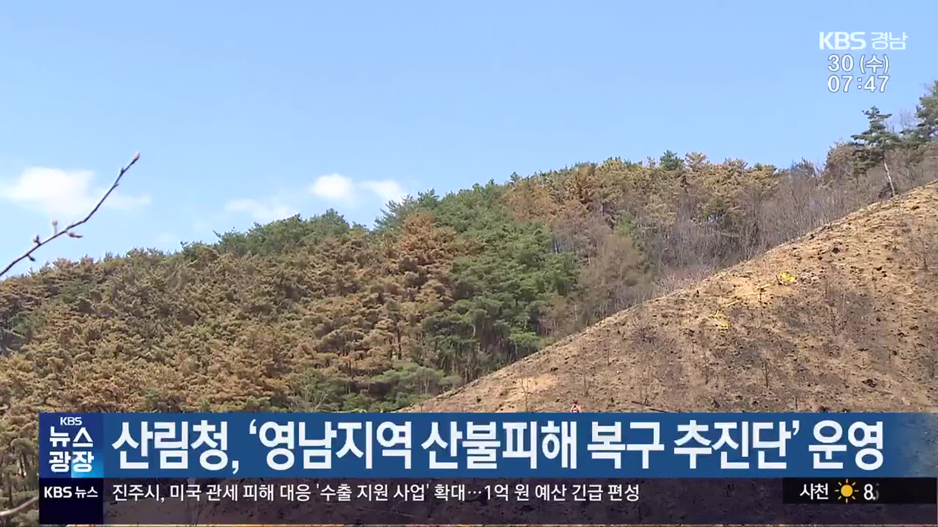 산림청, ‘영남지역 산불피해 복구 추진단’ 운영